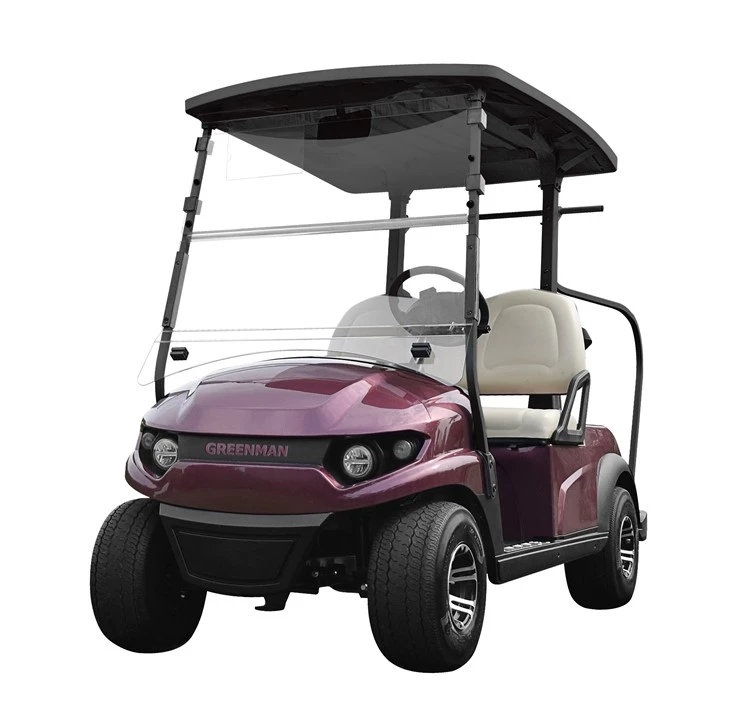 Vozila s dva sjedala u električnim kolicima za golf